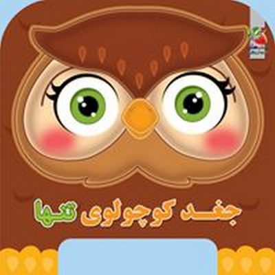 کتاب فومی جغد کوچولوی تنها