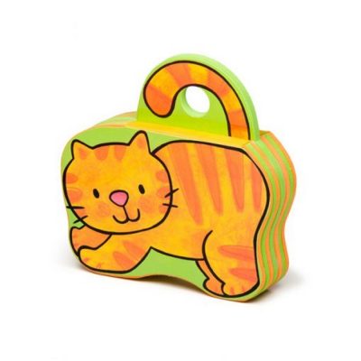 کتاب فومی پیشی دلش دوست میخواد