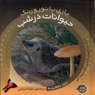 بازی با نور و رنگ کتاب حیوانات در شب