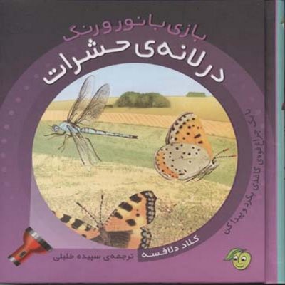 بازی با نور و رنگ در لانه حشرات